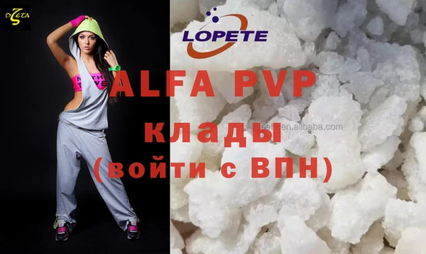 индика Богородицк