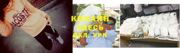 индика Богородицк