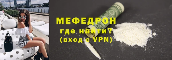 индика Богородицк