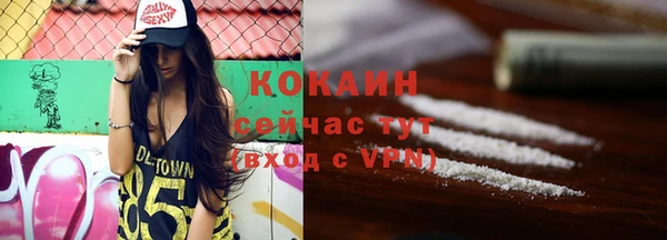 дмт Богородск