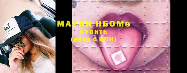 индика Богородицк