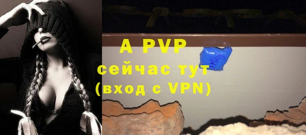 индика Богородицк