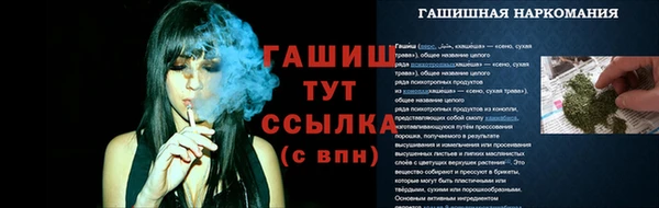 индика Богородицк