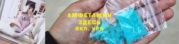 молекула духа Богданович