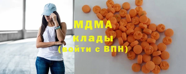 молекула духа Богданович