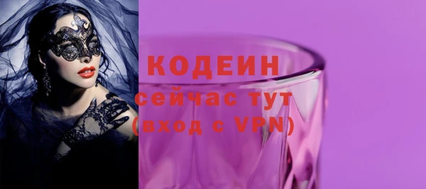 индика Богородицк