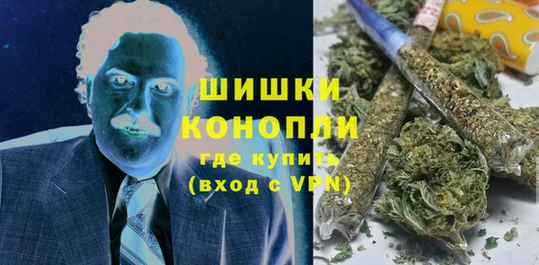 молекула духа Богданович