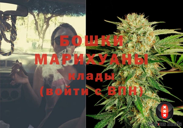 молекула духа Богданович