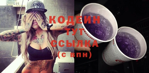молекула духа Богданович