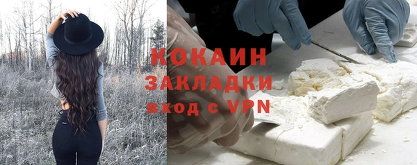 дмт Богородск