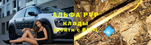 молекула духа Богданович