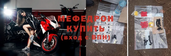 индика Богородицк