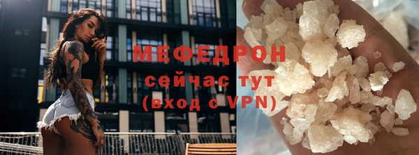 индика Богородицк