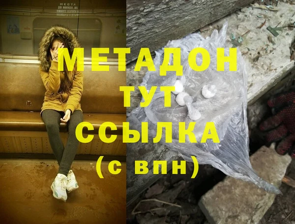 индика Богородицк
