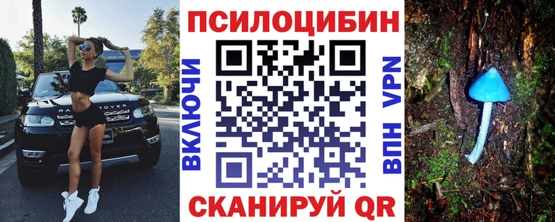 Псилоцибиновые грибы GOLDEN TEACHER  Купить где  Салаир 